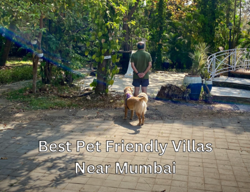 Kenwoods Farmstay: Pet-Friendly Villa Near Mumbai