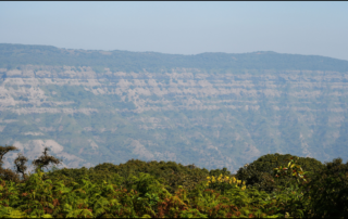 Things to Do in Palghar