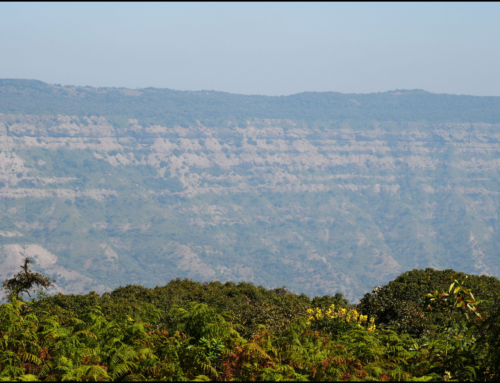 Things to Do in Palghar | Must Visit Places in Palghar