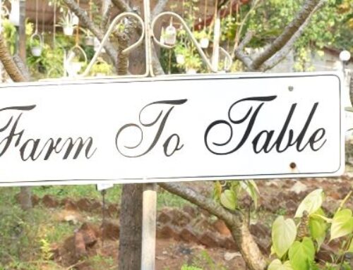 Farm-to-Table: What to Expect at Kenwoods Farmstay