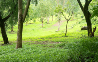 Palghar District